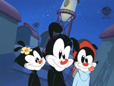 Animaniacs Original Production Cel:  Yakko, Wakko, and Dot Online Sale